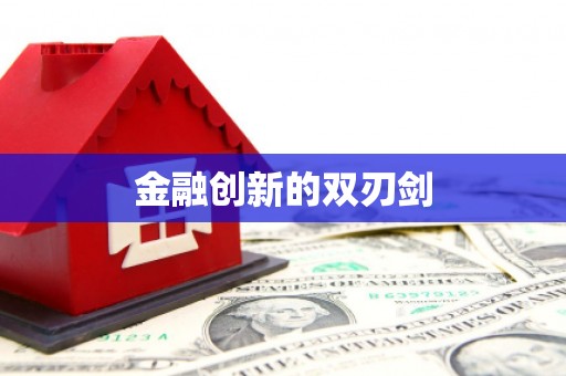 龙崎金融创新的双刃剑