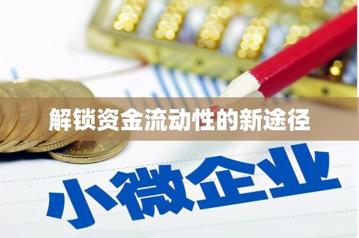 洪雅解锁资金流动性的新途径