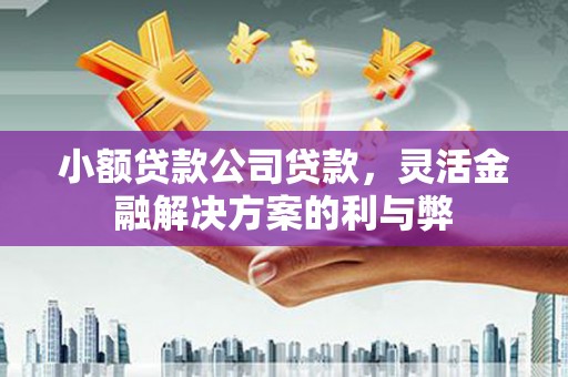 广水小额贷款公司贷款，灵活金融解决方案的利与弊